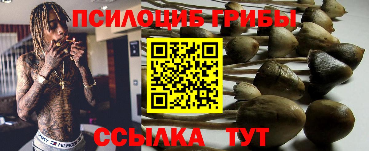 Псилоцибиновые грибы GOLDEN TEACHER  Вход с VPN  Киржач 