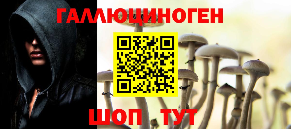 Галлюциногенные грибы GOLDEN TEACHER Киржач